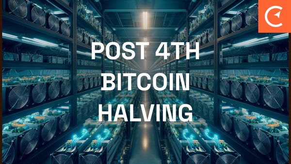 Navigating the Post-Halving Landscape: Insights and Implications Following Bitcoin's Fourth Halving